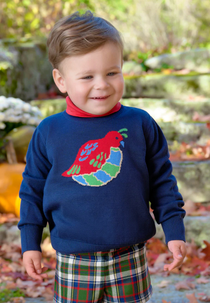 Isaac's Intarsia Sweater Nantucket Navy with Quail Intarsia