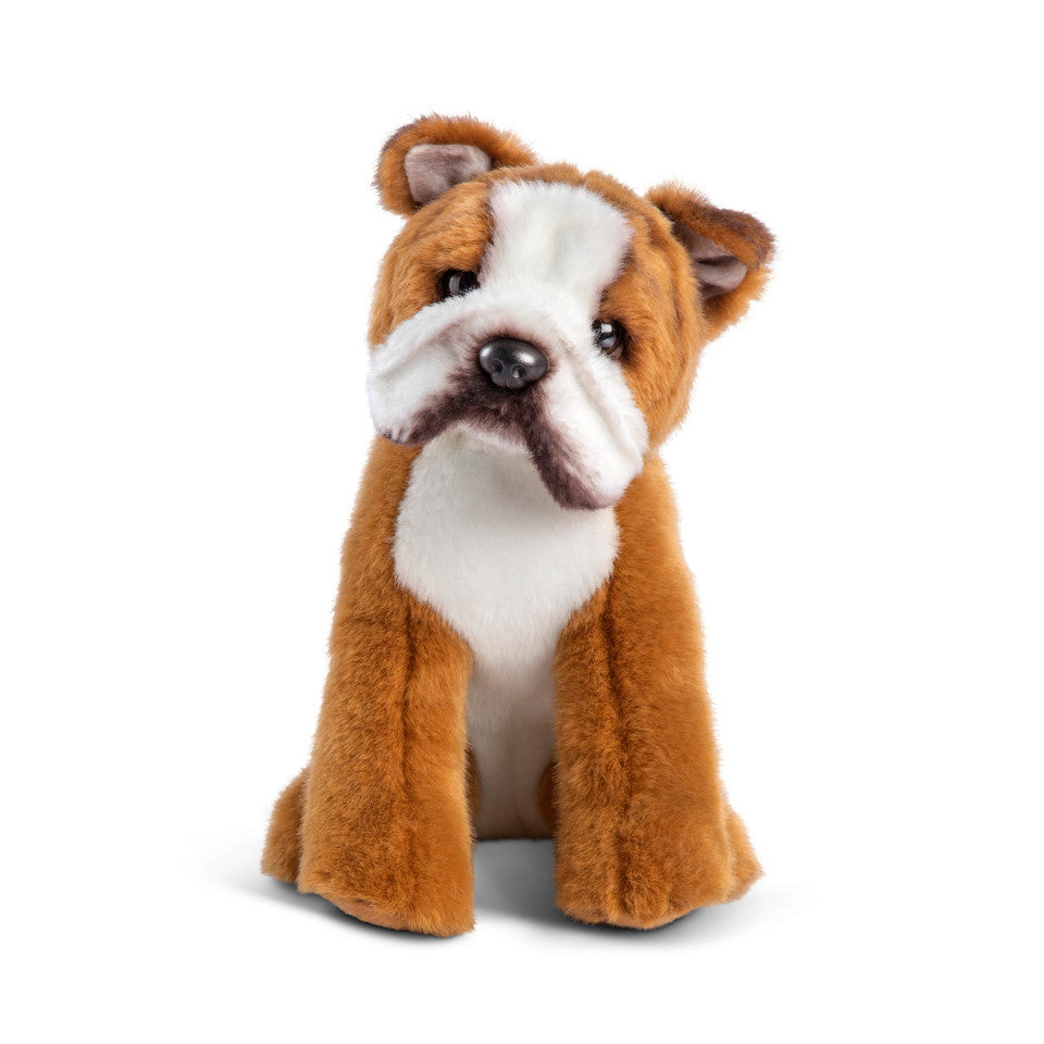 Bulldog- Small