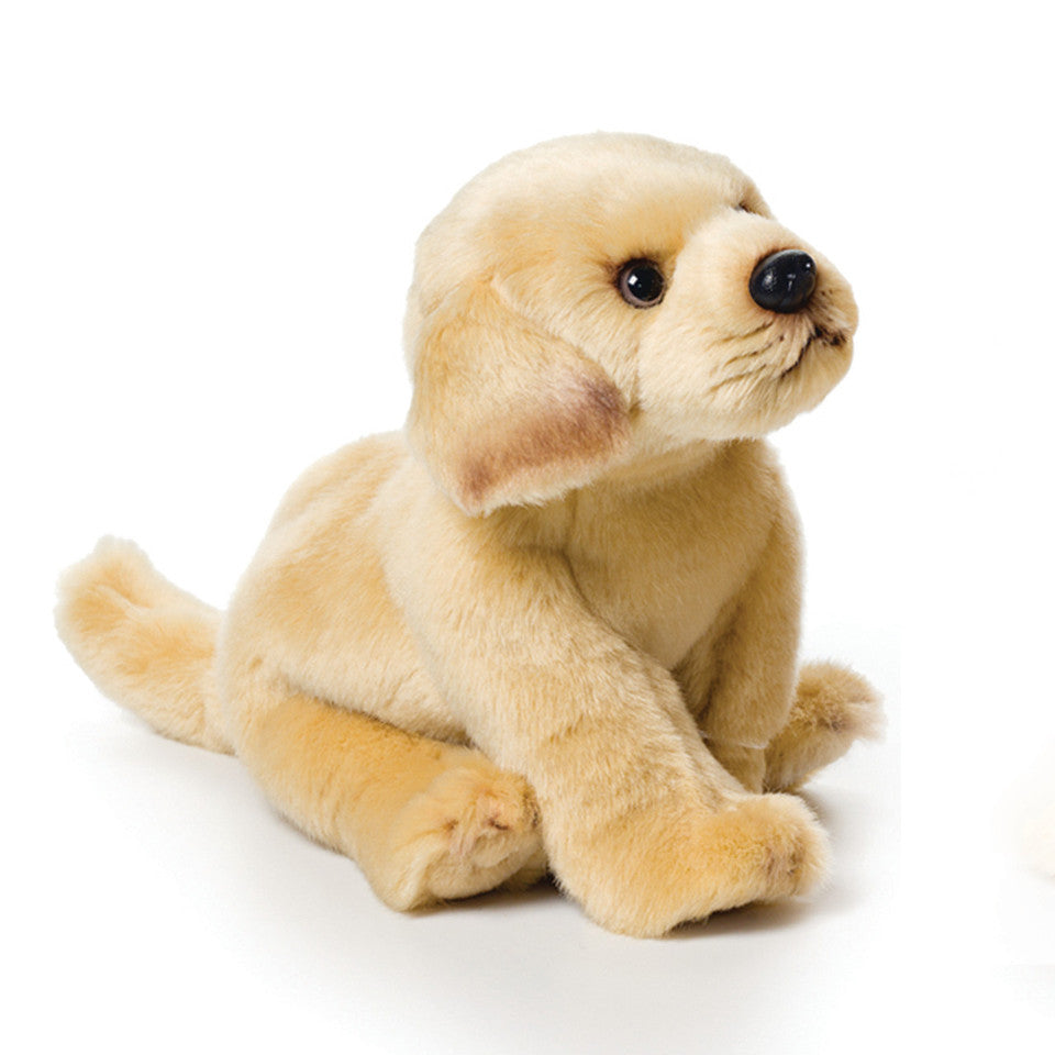 Yellow Labrador- Small