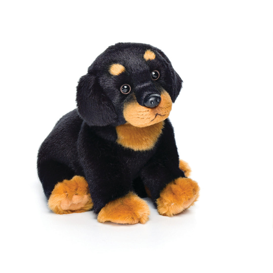 Rottweiler, Small