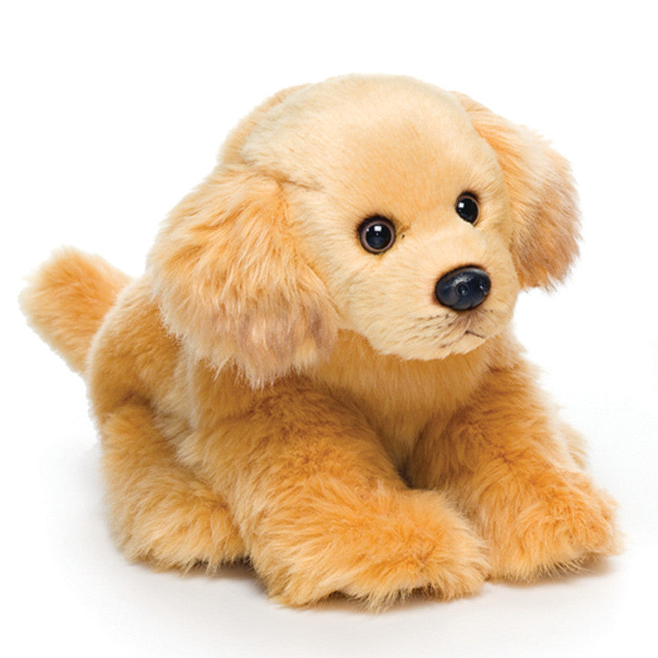 Golden Retriever- Small