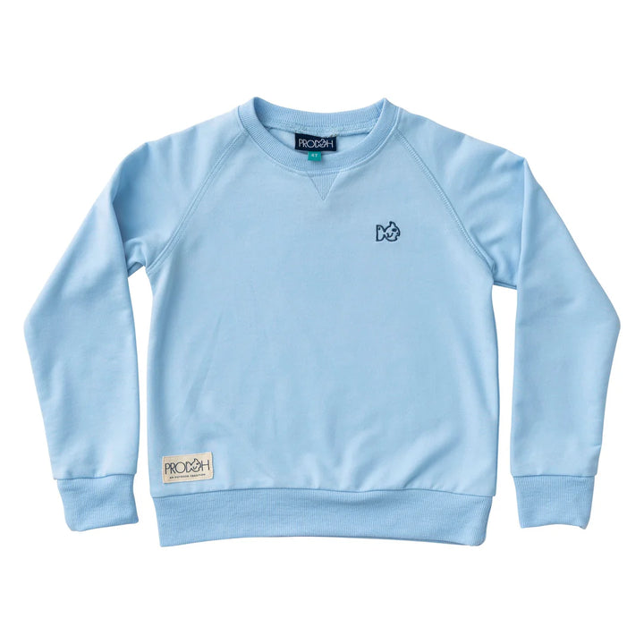 Crew Control Sweat Shirt- Clear Sky Blue