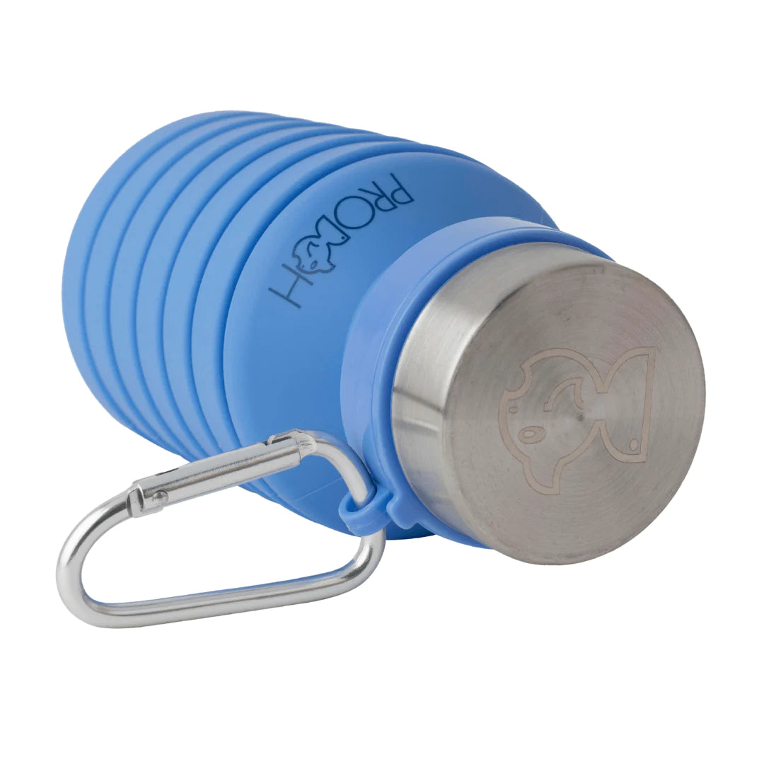 Collapsible Water Bottle with Carabiner- Marina Blue