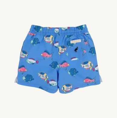 Tortola Swim Trunks- Here Fishy Fishy/Newport Night