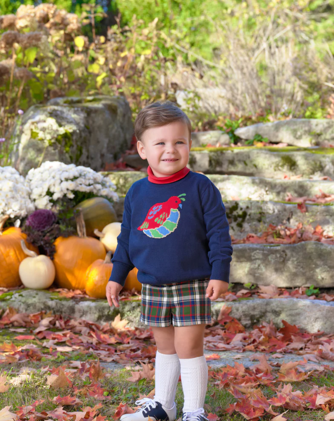 Isaac's Intarsia Sweater Nantucket Navy with Quail Intarsia