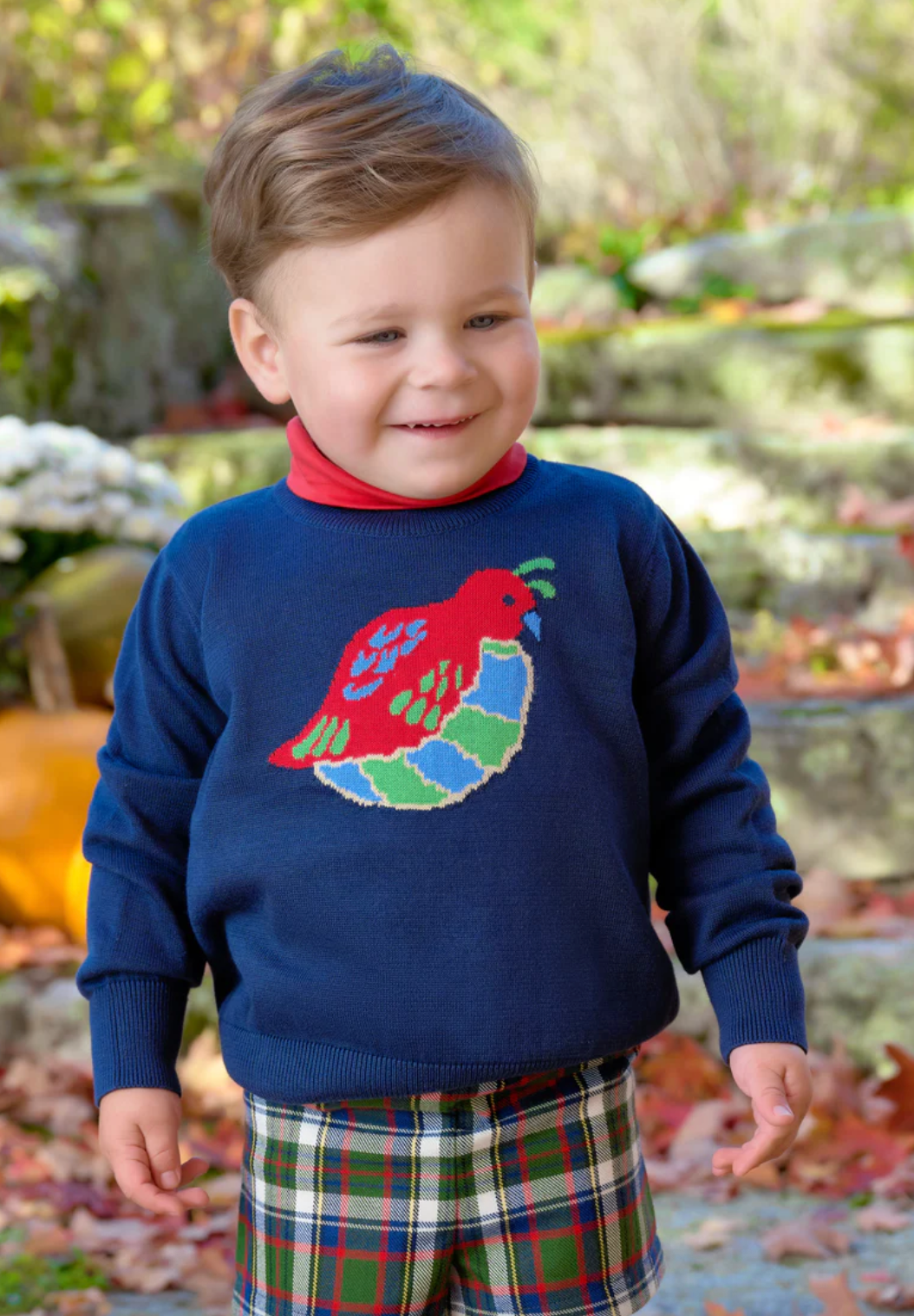 Isaac's Intarsia Sweater Nantucket Navy with Quail Intarsia