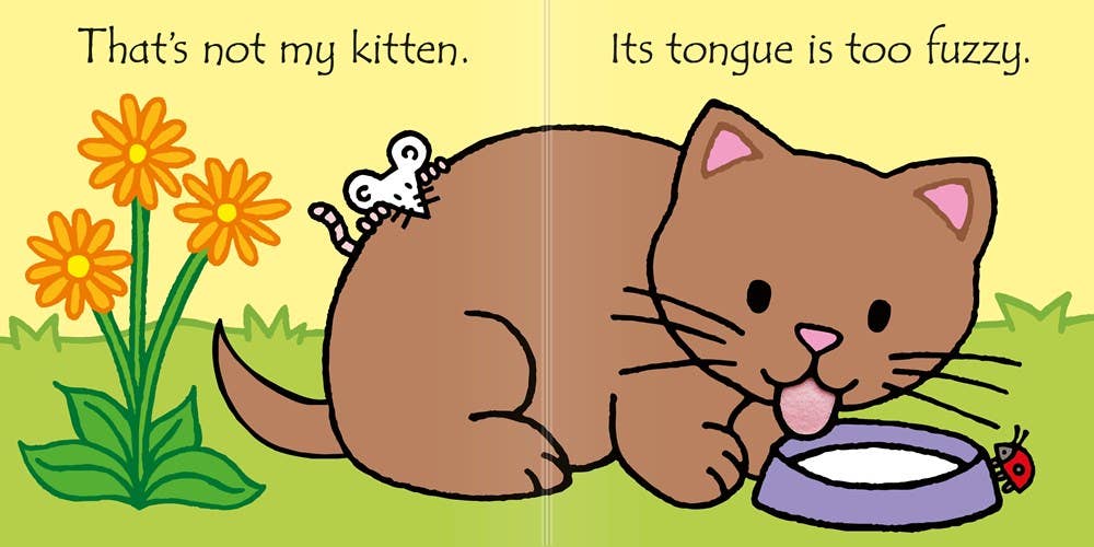 That's not my kitten...: USBORNE