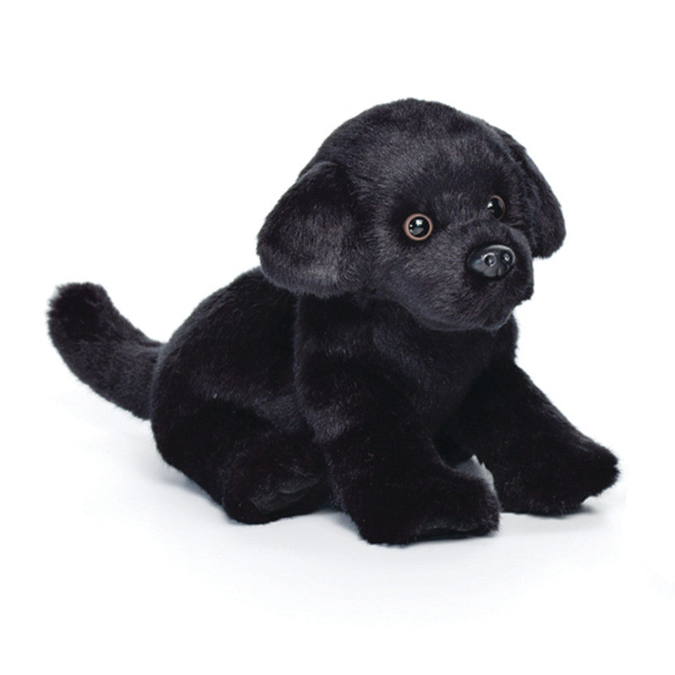 Black Labrador- Small