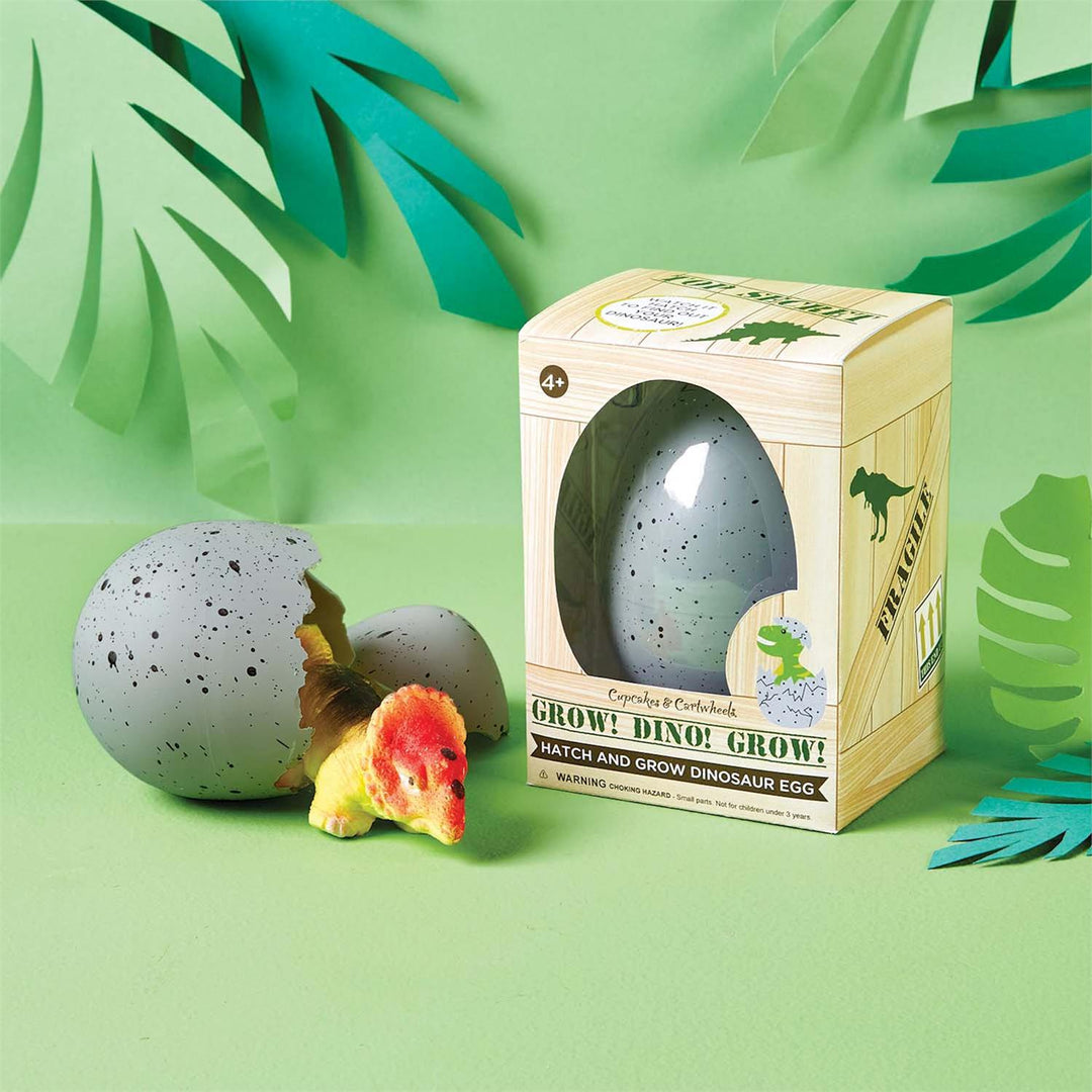 Grow, Dino Grow! Hatching Dinosaur Egg in Gift Box