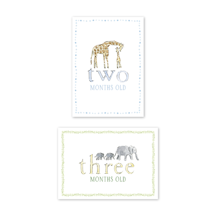 Zoo in the City Milestone Cards